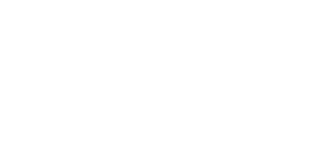 Logo Digivi Labs